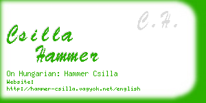 csilla hammer business card